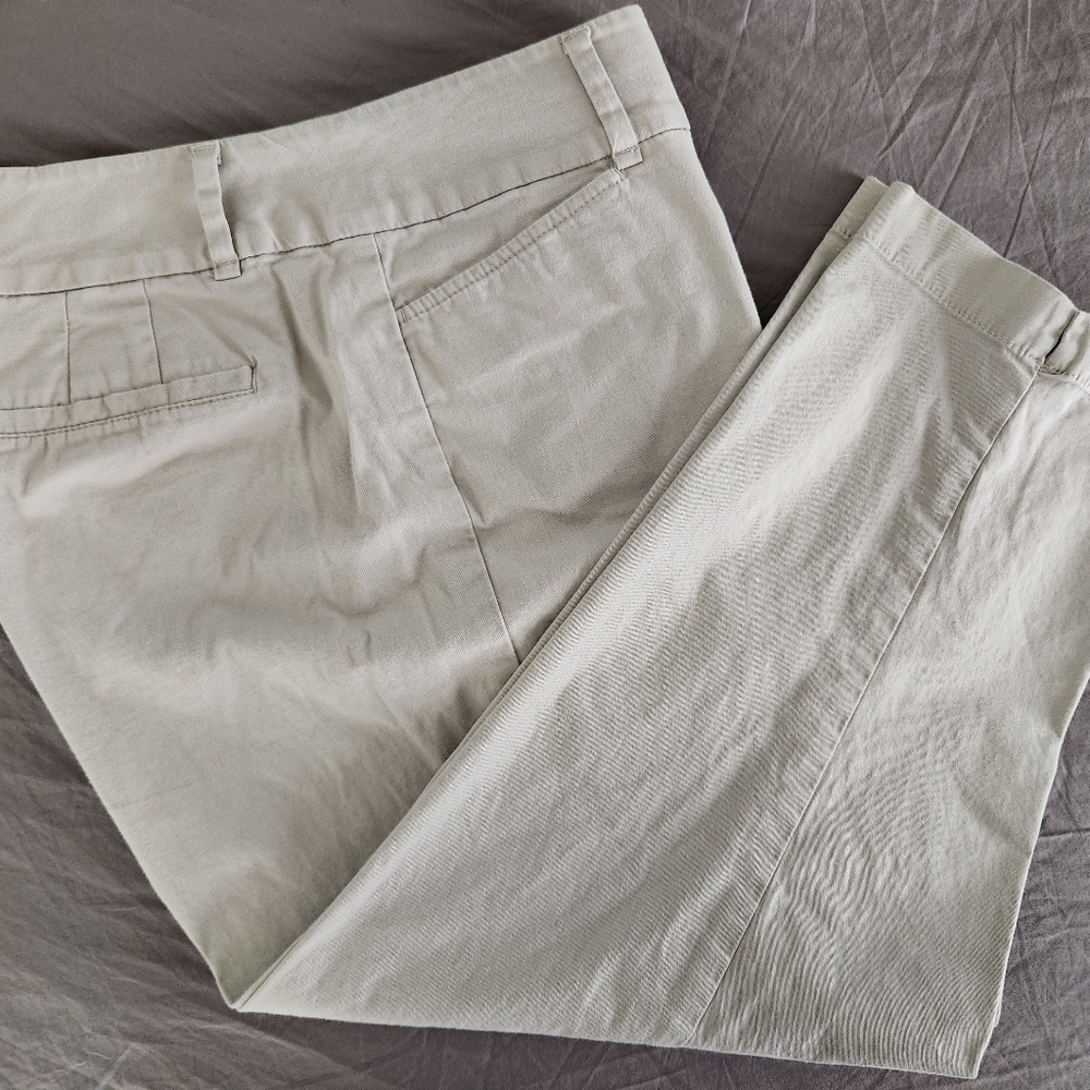 LOFT Original Crop size 10